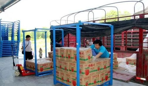 永州嘉信冷鏈倉儲物流中心正式開業(yè)，助推區(qū)域物流體系升級